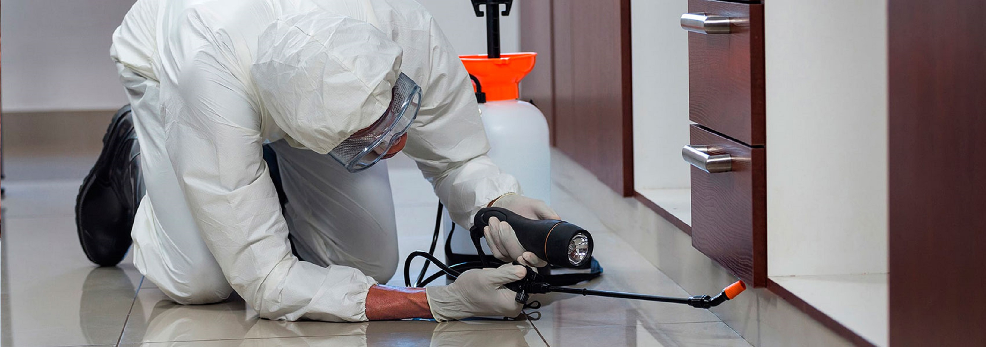 Control de plagas medellin (2)